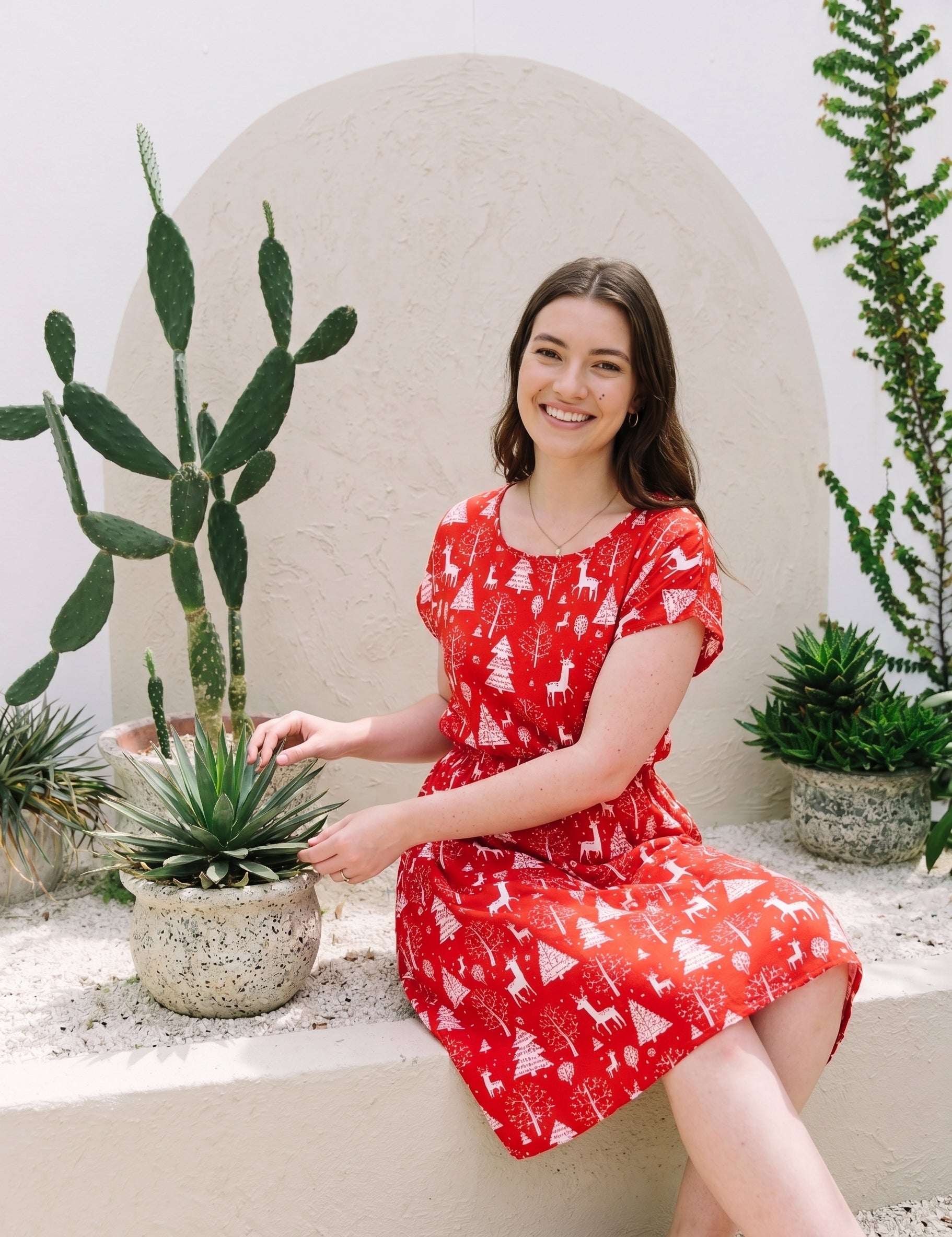 reindeer red hol dress