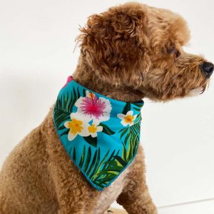 Aloha Turquoise Bandana