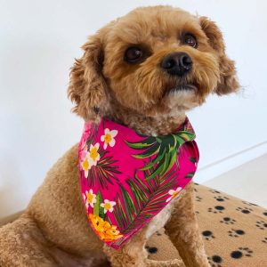 Aloha_Pink_Bandana-_Dog.jpg