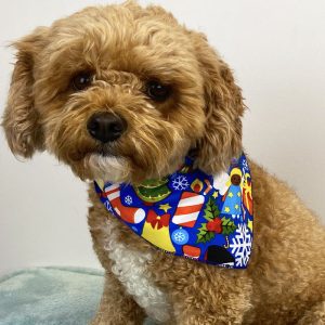 Celebrations Purple Bandana